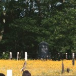 Bucklin Graves in Newman Church Cemetery