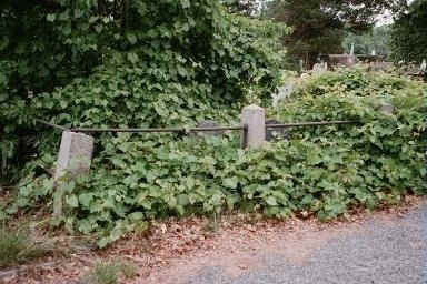 Bucklin Family Graves Before Cleanup