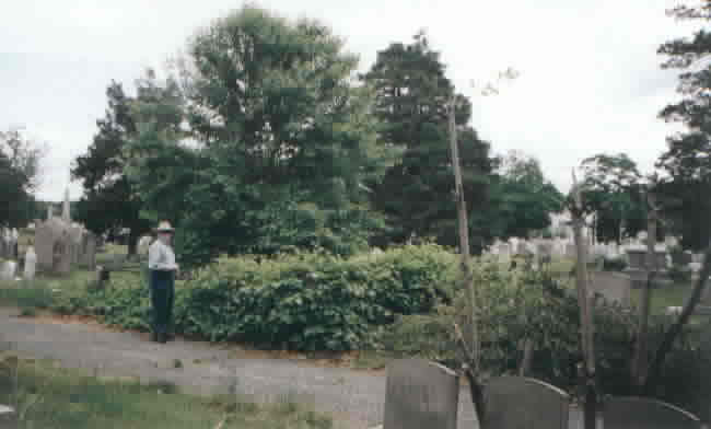 Bucklin Family Graves Before Cleanup