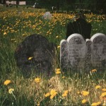 David Bucklin Gravesite