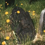 David Bucklin Gravesite